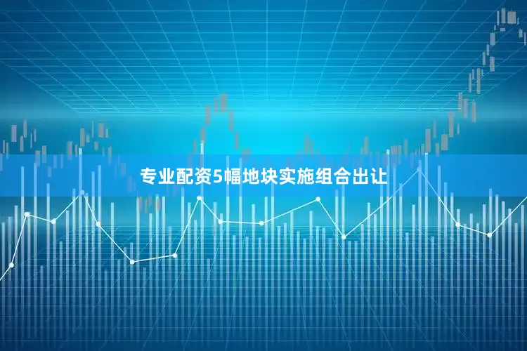专业配资5幅地块实施组合出让