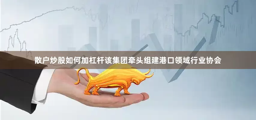 散户炒股如何加杠杆该集团牵头组建港口领域行业协会