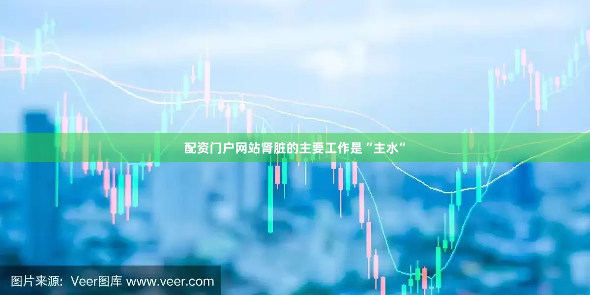 配资门户网站肾脏的主要工作是“主水”