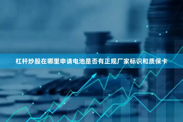杠杆炒股在哪里申请电池是否有正规厂家标识和质保卡
