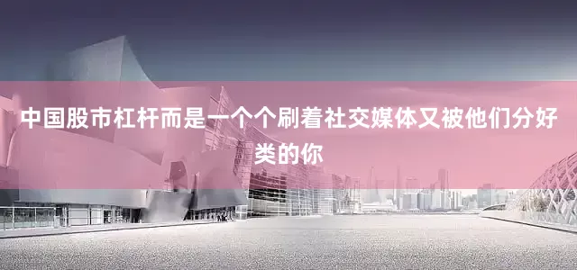 中国股市杠杆而是一个个刷着社交媒体又被他们分好类的你