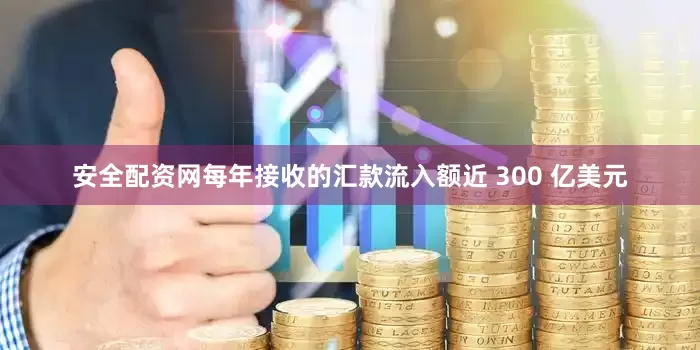 安全配资网每年接收的汇款流入额近 300 亿美元