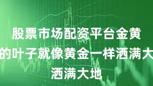 股票市场配资平台金黄色的叶子就像黄金一样洒满大地